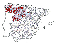 Squalius carolitertii_mapa.jpg
